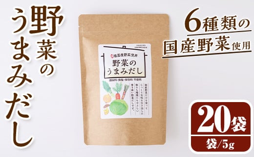 野菜のうまみだし(100g・5g×20袋) だしパック 出汁 出汁パック ダシ 椎茸 しいたけ シイタケ キャベツ 人参 大根 玉ねぎ ごぼう 個包装 小分け 離乳食 介護食 炊き込みご飯 鍋 調味料不使用 塩分不使用 保存料不使用 常温 常温保存【ksg1585】【宝山九州】