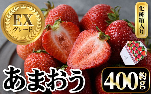 ＜先行予約受付中・数量限定＞2026年2月からお届け！プレミアムあまおうEX 化粧箱入り(約400g) 苺 いちご あまおう イチゴ フルーツ 果物 くだもの 手作り スイーツ ギフト 贈答 数量限定 冷蔵 ＜離島配送不可＞【ksg1675】【THE FARM_strawberry】