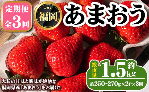 《先行予約受付中・数量限定》＜定期便・全3回（2月・3月・4月）＞2026年2月からお届け！いちご定期便 あまおう(総重量約1.5kg・約250～270g×2P×3回) いちご 苺 あまおう 果物 フルーツ 定期便 ＜離島配送不可＞【ksg1676】【THE FARM_strawberry】
