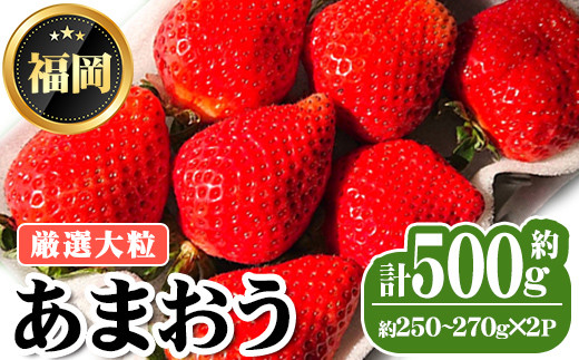＜先行予約受付中・数量限定＞2026年2月からお届け！厳選大粒あまおう(計約500g・約250～270g×2P) 苺 いちご イチゴ フルーツ 果物 くだもの 手作り スイーツ 冷蔵 ＜離島配送不可＞【ksg1677】【THE FARM_strawberry】
