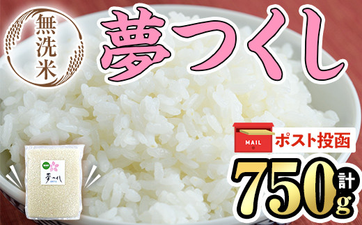 ＜ポスト投函・数量限定＞無洗米・真空パック「夢つくし」(750g)お米 おこめ 米 こめ コメ 白米 無洗米 福岡県産 夢つくし 真空 真空パック 750グラム 5合 ごはん ご飯 常温 常温保存 非常食 防災 災害備蓄 キャンプ アウトドア【ksg1687】【朝ごはん本舗】