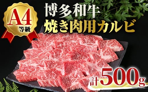 A4ランク博多和牛カルビ焼肉用(計500g) 牛肉 国産 福岡県 黒毛和牛 和牛 冷凍 カルビ いとしまミートデリ工房＜離島配送不可＞【ksg1708】【徳永商店】