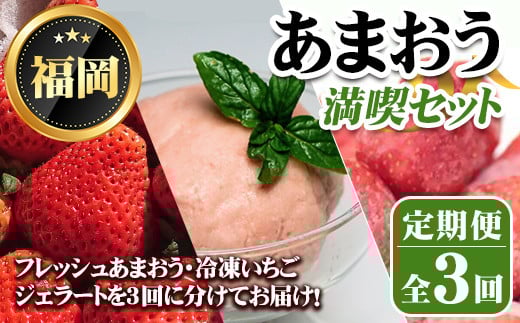 《先行予約受付中・数量限定》＜定期便・全3回(3月・6月・8月)＞2026年3月からお届け！あまおう満喫セット(あまおう：計約1kg・ジェラート2種：計720ml・冷凍いちご：1.5kg) 苺 定期便 ＜離島配送不可＞【ksg1718】【THE FARM_strawberry】【ksg1718】【THE FARM_strawberry】