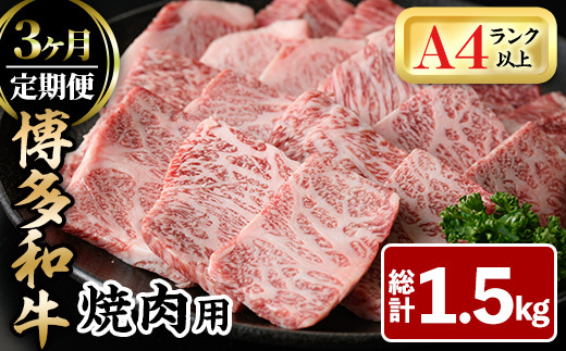 ＜全3回定期＞博多和牛焼肉用(総計1.5kg)牛肉 黒毛和牛 国産 BBQ 化粧箱 贈答 ギフト プレゼント 定期便＜離島配送不可＞【ksg1719】【MEATPLUS】