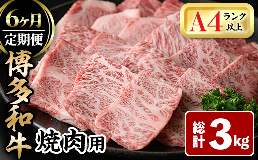 ＜全6回定期(毎月)＞博多和牛焼肉用(総計3kg)牛肉 黒毛和牛 国産 BBQ 化粧箱 贈答 ギフト プレゼント 定期便＜離島配送不可＞【ksg1720】【MEATPLUS】