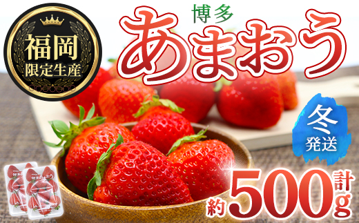 ＜先行予約受付中！2025年12月上旬～2026年1月下旬に順次発送予定＞ 博多あまおう・冬 (計約500g) いちご 苺 フルーツ 果物 くだもの 福岡限定 家庭用 冷蔵＜離島配送不可＞【ksg1736】【農産物直売所ほたるの里】