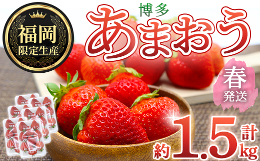 ＜先行予約受付中！2026年2月上旬～2026年4月下旬に順次発送予定＞ 博多あまおう・春 (計約1.5kg) いちご 苺 フルーツ 果物 くだもの 福岡限定 家庭用 冷蔵＜離島配送不可＞【ksg1741】【農産物直売所ほたるの里】