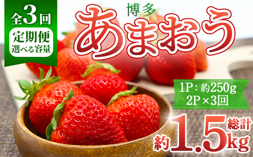 ＜全3回定期便・先行予約受付中！2026年2月上旬～2026年4月下旬に順次発送予定＞ 博多あまおう (総計約1.5kg) いちご 苺 フルーツ 果物 くだもの 福岡限定 家庭用 冷蔵 定期便 ＜離島配送不可＞【ksg1742】【農産物直売所ほたるの里】