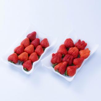 【2026年発送先行受付】フルーツ専門店が選んだ「あまおう苺」春250g×4パック(大野城市)【配送不可地域：離島】