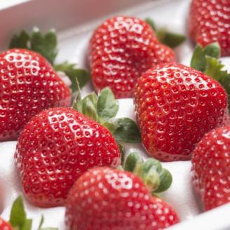 【11月下旬より順次発送】フルーツ専門店が選んだ「あまおう苺」ギフト箱(12-15粒)(大野城市)【配送不可地域：離島】