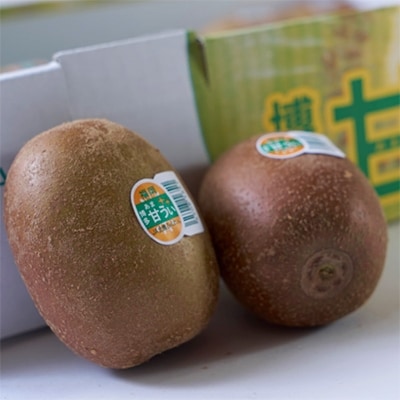 福岡限定!ブランドキウイ「甘うぃ(あまうぃ)」約1.5kg箱(12-15玉)(大野城市)【配送不可地域：離島】