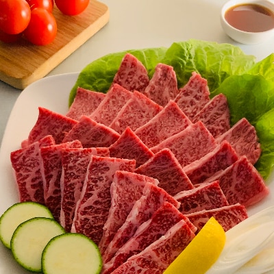 【博多和牛】焼肉用　(合計500g)【配送不可地域：離島】