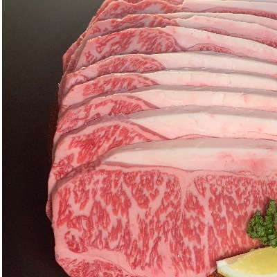 【博多和牛】サーロインステーキ2500g(250g×10枚)【配送不可地域：離島】