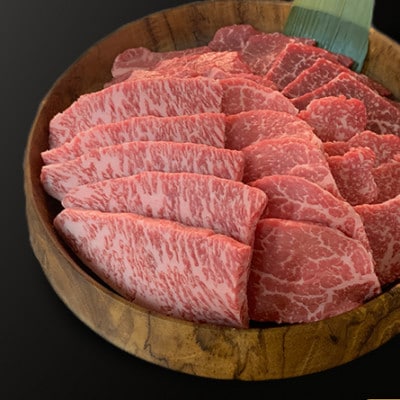 博多和牛焼肉5種食べ比べセット《合計500g》【配送不可地域：離島】