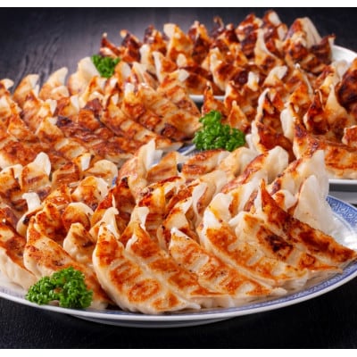 福岡ブランド堪能セット　もつ鍋2.5人前・辛子明太子3パック計450g・博多黒豚餃子3パック75個【配送不可地域：離島】