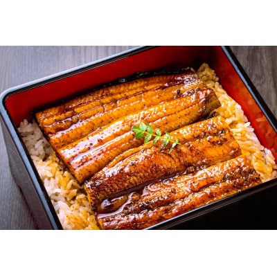 大野城市限定!ふっくら大判特上うなぎ蒲焼　計約600～700g(約320g×2尾)【配送不可地域：離島】