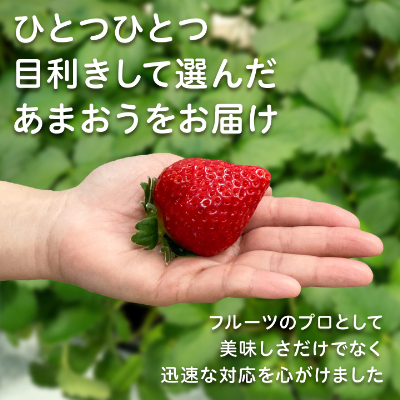 【2026年発送先行受付】フルーツ専門店が選んだ「あまおう苺」春250g×6パック(大野城市)【配送不可地域：離島】