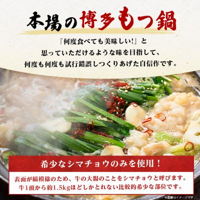 訳あり!博多味噌もつ鍋　10人前(2人前×5セット)【配送不可地域：離島】