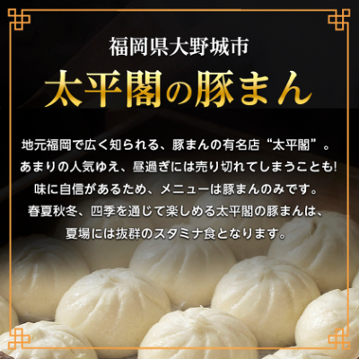 本場中国の味 太平閣の豚まん 10個　【総量 約1.2kg】【配送不可地域：離島】