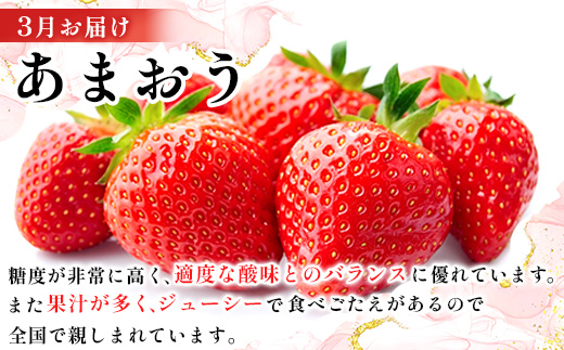 【発送月固定定期便】季節ごとに福岡の味覚をお届け!あまおう・明太子・もつ鍋の贅沢定期便全3回【配送不可地域：離島】