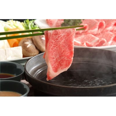 【毎月定期便】【厳選部位】博多和牛サーロインしゃぶしゃぶすき焼き用　500g全12回【配送不可地域：離島】