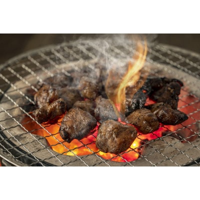 【毎月定期便】はかた地どり炭火焼セット500g(100g×5p)全12回【配送不可地域：離島】