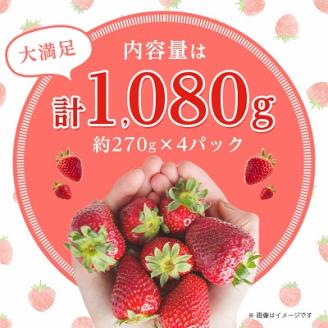 【数量限定】福岡県産あまおう270g×4パック【R7年2月発送開始】【配送不可地域：離島】
