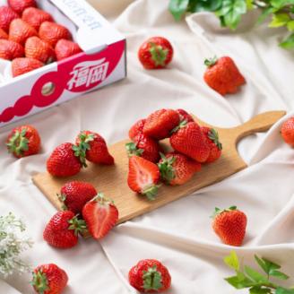 【11月下旬より順次発送】フルーツ専門店が選んだ「あまおう苺」冬4パック(大野城市)【配送不可地域：離島】