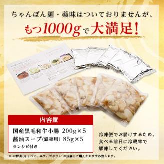 【大反響!】【1000g】博多本場もつ鍋　醤油味「2人前×5回分」【配送不可地域：離島】