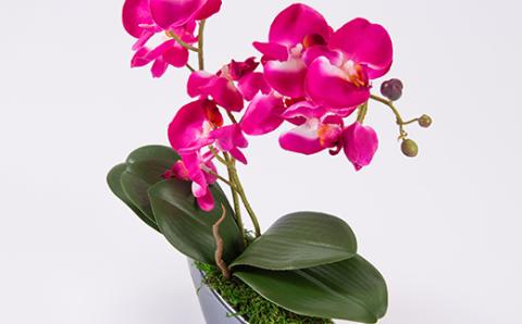 アーティフィシャルフラワー胡蝶蘭アレンジメント光触媒 (ピンク)
