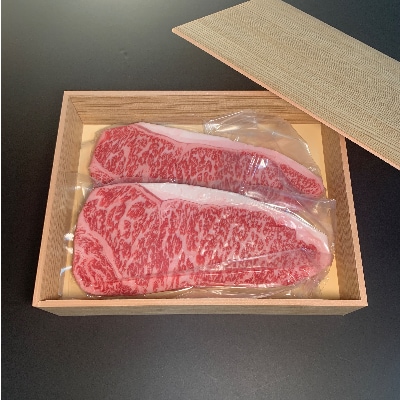 【博多和牛】サーロインステーキ500g(250g×2枚)【配送不可地域：離島】