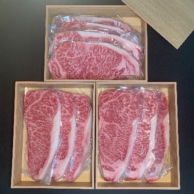 【博多和牛】サーロインステーキ2500g(250g×10枚)【配送不可地域：離島】