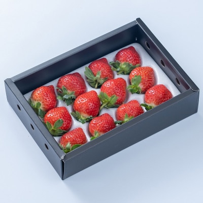 上級クラスの福岡産あまおう苺　EX(エクセレント)9-12粒【配送不可地域：離島】