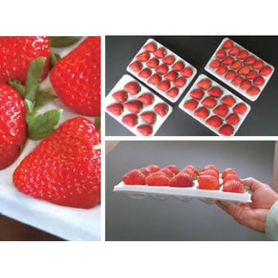 【11月下旬より順次発送】農家直送 朝採り新鮮いちご【博多あまおう】約270g×4パック【配送不可地域：離島】