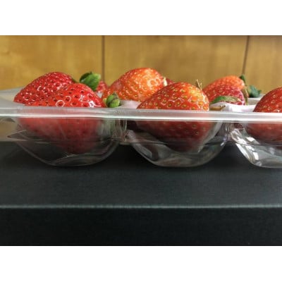 【11月下旬より順次発送】農家直送 朝採り新鮮いちご【博多あまおう】約270g×2パック【配送不可地域：離島】