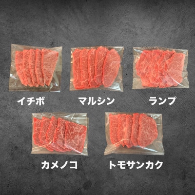 博多和牛焼肉5種食べ比べセット《合計500g》【配送不可地域：離島】