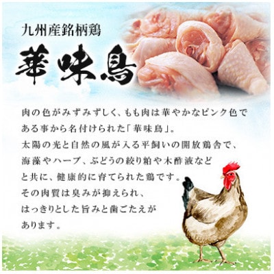 博多華味鳥 水たきセット 3～4人前 柚胡椒付(大野城市)【配送不可地域：離島】