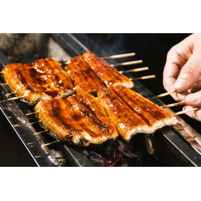 大野城市限定!ふっくら大判特上うなぎ蒲焼　計約600～700g(約320g×2尾)【配送不可地域：離島】