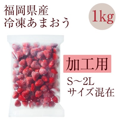 【濃厚な味わい!】冷凍いちご「博多あまおう」1kg(大野城市)【配送不可地域：離島】