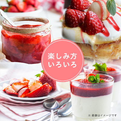 【2026年発送先行受付】フルーツ専門店が選んだ「あまおう苺」春250g×6パック(大野城市)【配送不可地域：離島】