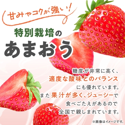 【数量限定】特別栽培あまおう4パック【2025年12月より順次発送】【配送不可地域：離島】