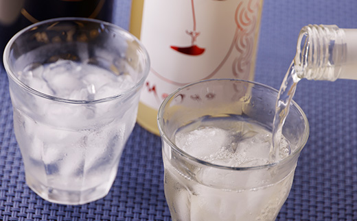 本格焼酎大野城セット