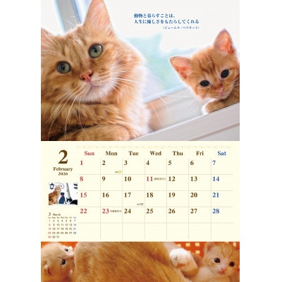 ねこともクッキー＆ねこともカレンダー(保護猫＆地域猫)