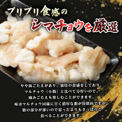 訳あり!博多味噌もつ鍋　10人前(2人前×5セット)【配送不可地域：離島】