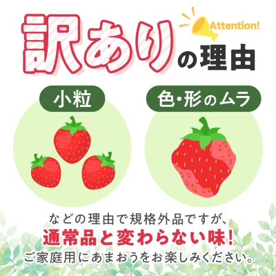 【訳あり】福岡県産ファミリー向けあまおう約270g×4パック(約1,080g)【配送不可地域：離島】