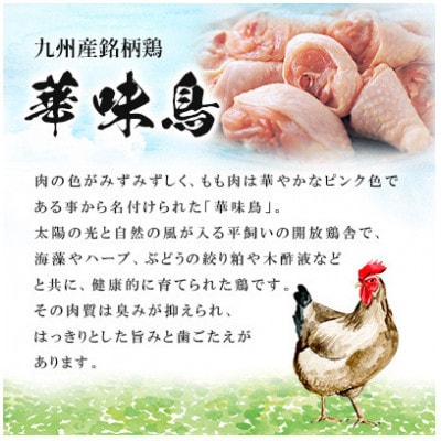 【毎月定期便】博多華味鳥 水たきセット 3～4人前 柚胡椒付(大野城市)全3回【配送不可地域：離島】