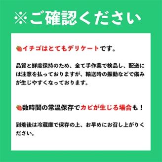 【2026年発送先行受付】フルーツ専門店が選んだ「あまおう苺」春250g×4パック(大野城市)【配送不可地域：離島】