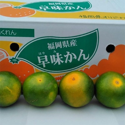 福岡限定!オリジナルブランドみかん「早味かん」約4kg(大野城市)【配送不可地域：離島】
