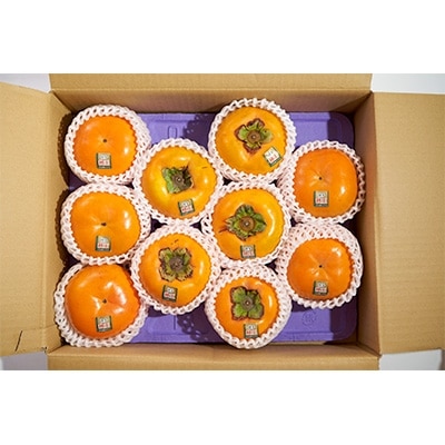 秋王(あきおう)3.5kg箱(8-12玉)(大野城市)【配送不可地域：離島】