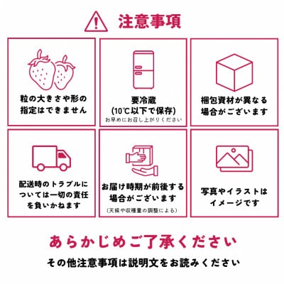 【先行予約】福岡県産あまおう 約270g×4パック【配送不可地域：離島】